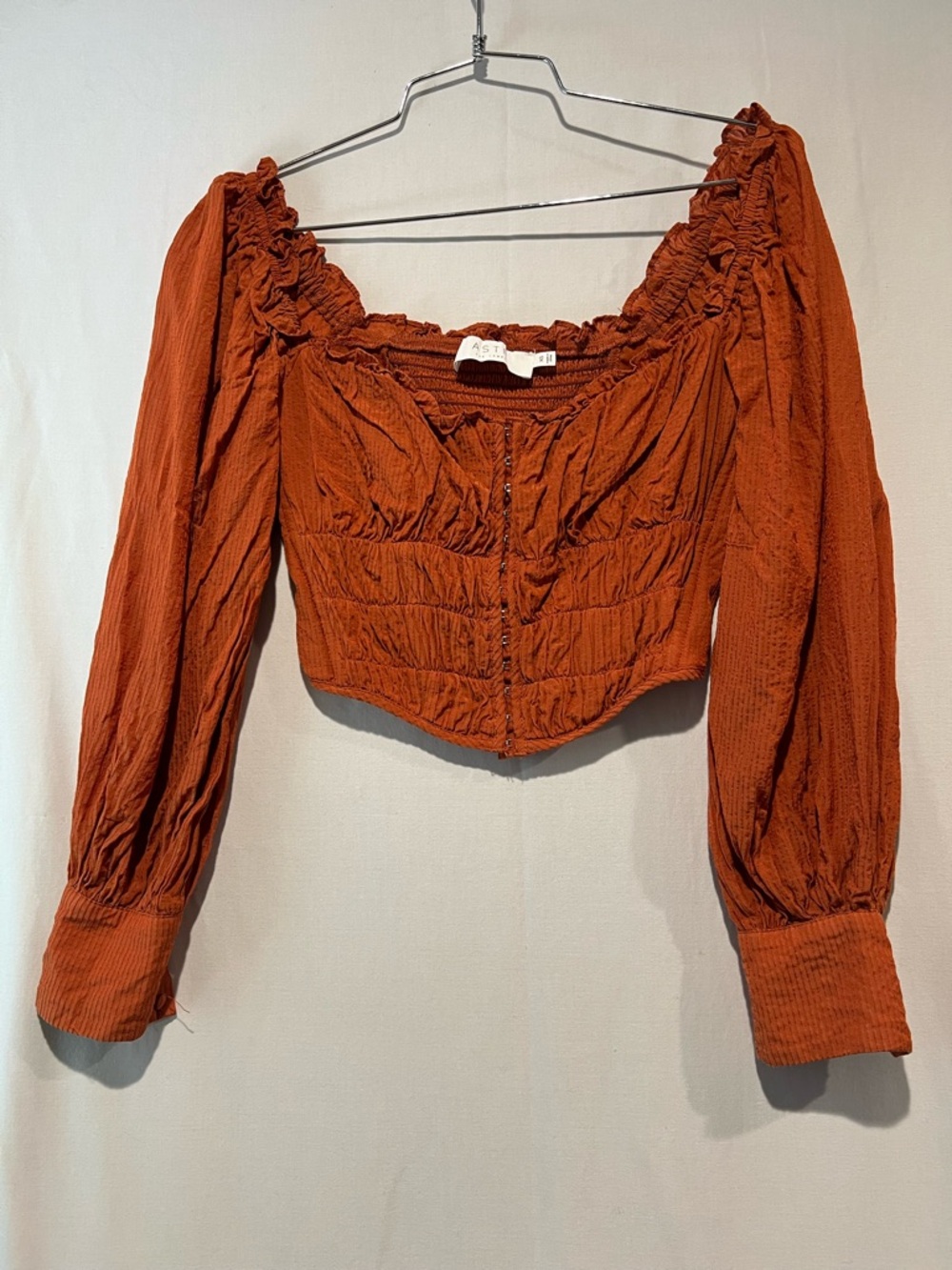 ASTR The Label Rust Smocked Crop Top Puff Sleeve Hook Front XS